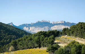 14 Nov. Dentelles de Montmirail