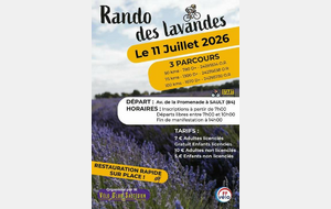Randonnée des lavandes  Sault