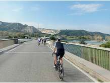 Pont du Rhône