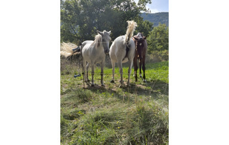 Sortie du 9. Ils nous attendaient au bord de la rouie !